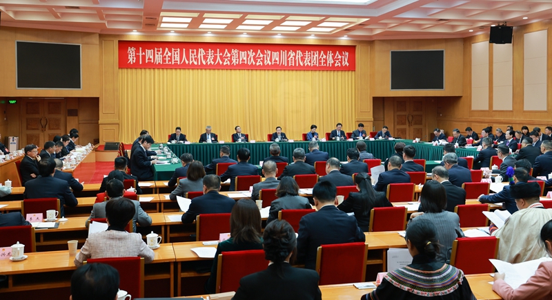 四川代表团举行全体会议 讨论通过代表团全团建议 王晓晖主持 施小琳出席